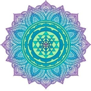 Meet your Posher, Roxy